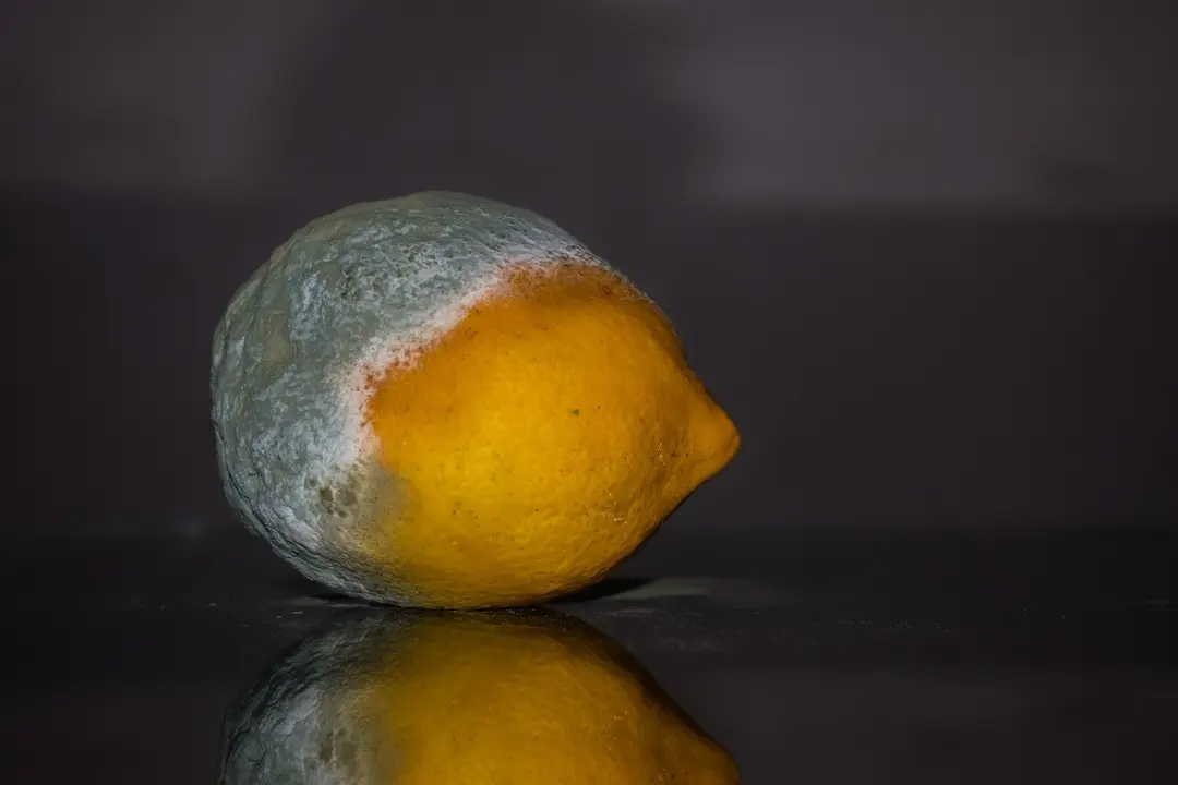 lemon-g80dfc9853_1920