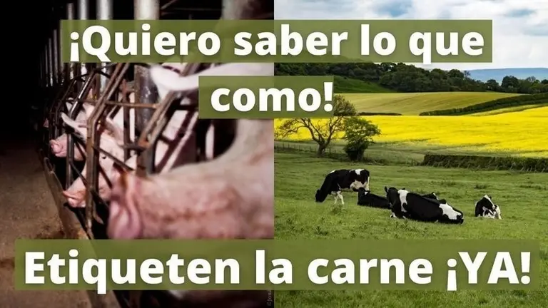 Ganader&iacute;a extensiva o macrogranja