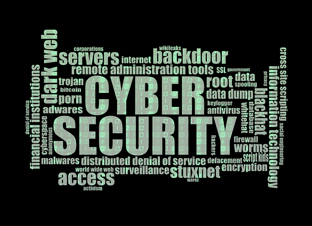cyber-security-1805632_640