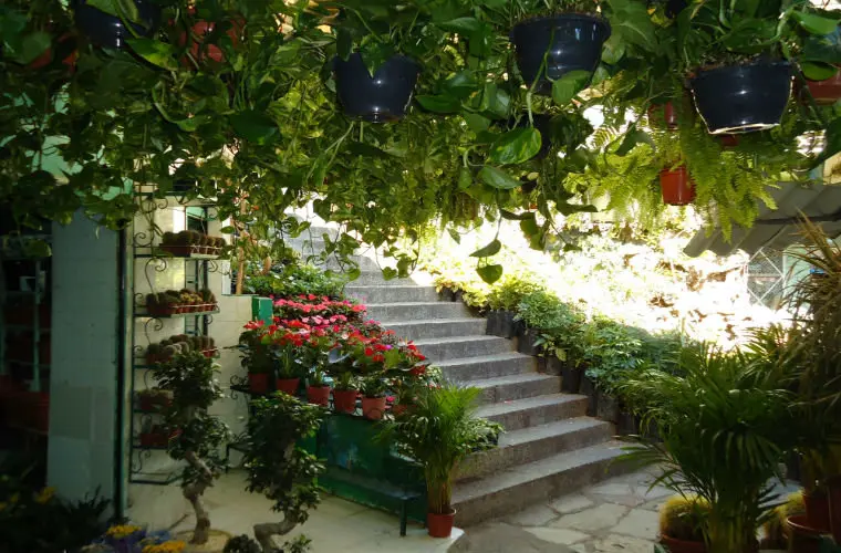  mercado de las flores 