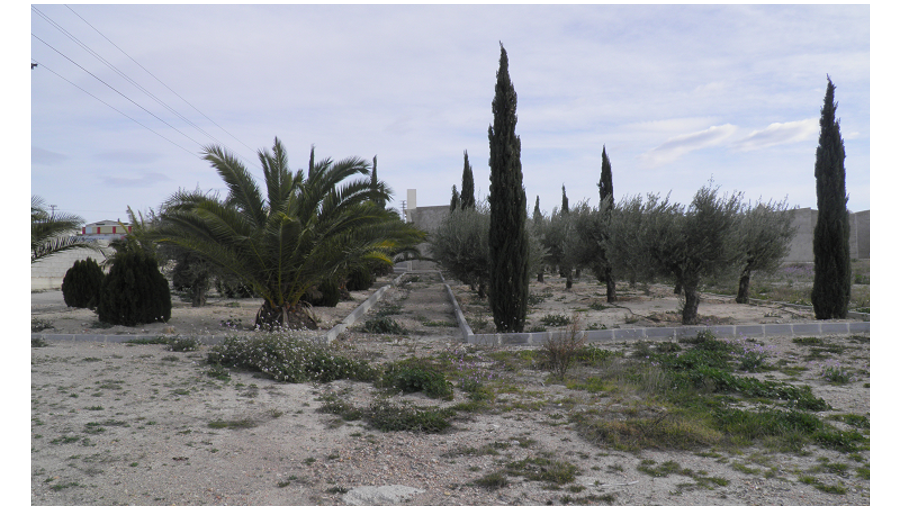 Cementerio de Molina de Segura
