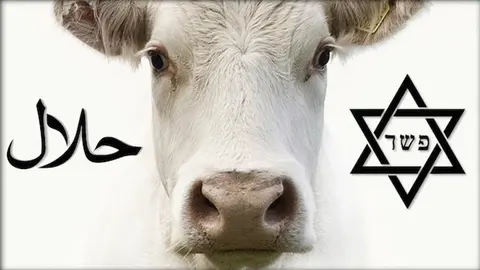 header-nq-halal-kosher-bite-size-vegan-chowhound