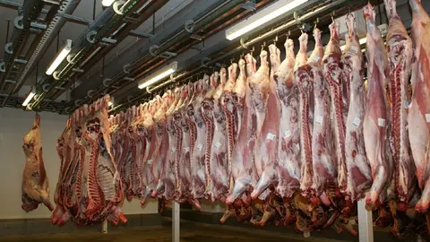 meat-640721_1920 (1)