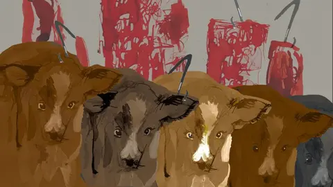 _110386033_976xnew-calves-copy