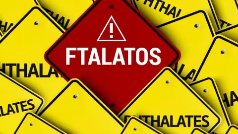 fatalatos ok 
