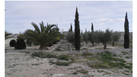Cementerio de Molina de Segura
