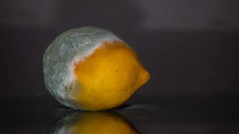 lemon-g80dfc9853_1920