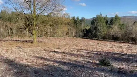 Terrenos del futuro cementerio isl&aacute;mico de Galicia