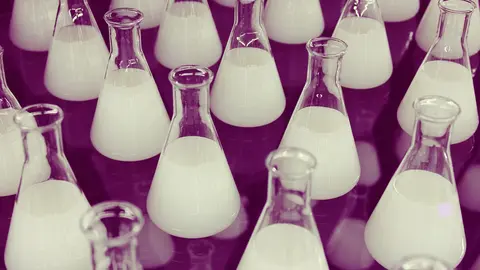 Leche sint&eacute;tica