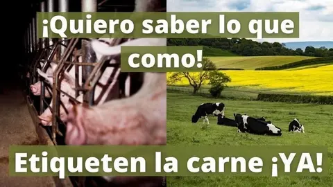 Ganader&iacute;a extensiva o macrogranja