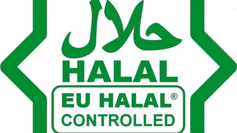 TAIEB PORTUGAL LOGO