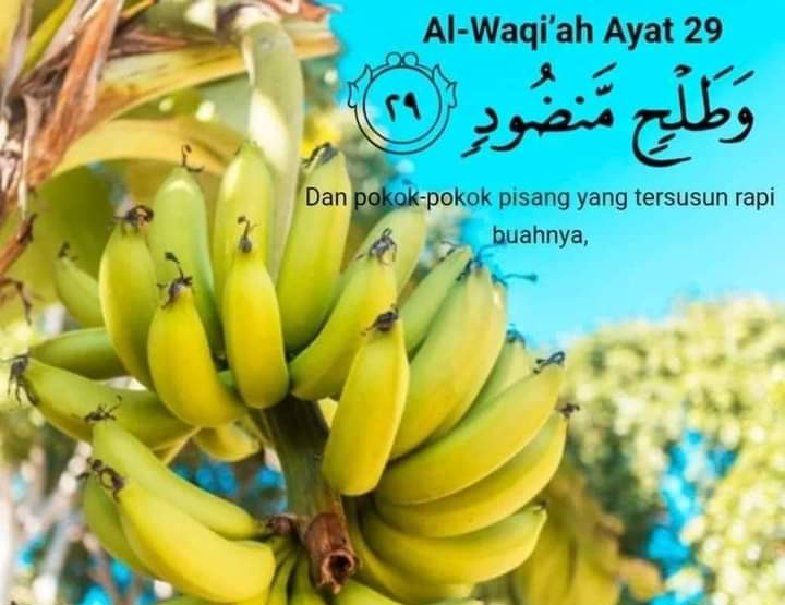 WhatsApp Image 2020-12-06 at 08.36.03