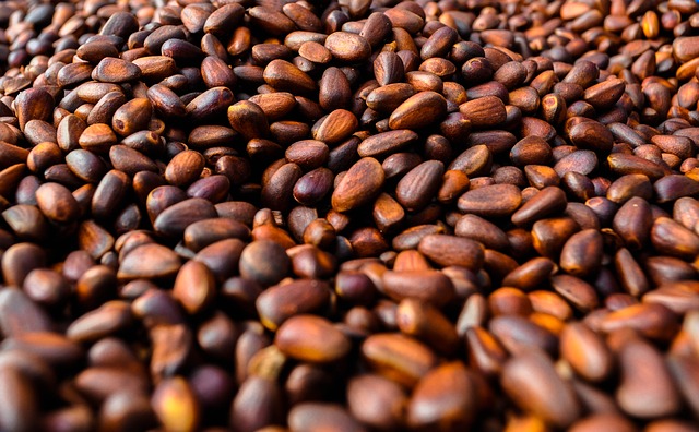 pine-nuts-961606_640